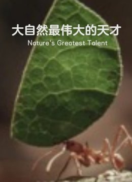大自然最伟大的天才