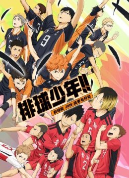 排球少年剧场版2015结束与开始