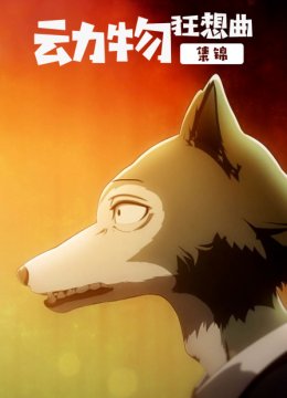 动物狂想曲集锦