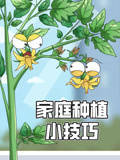家庭种植小技巧