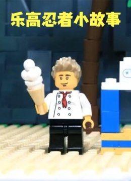 乐高忍者小故事