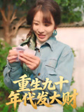重生九十年代发大财