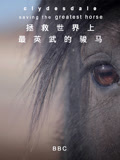 拯救世界上最英语武的骏马