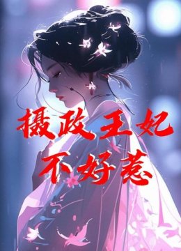 摄政王妃不好惹