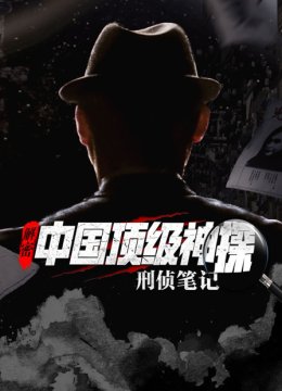 解密大陆顶级神探刑侦笔记