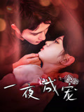 一夜成宠