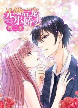 先婚后宠小娇妻第2季