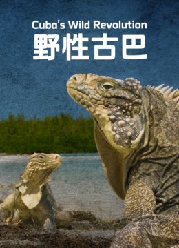 野性古巴