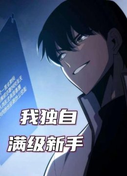 我独自满级新手