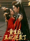 重生后王妃逆袭了