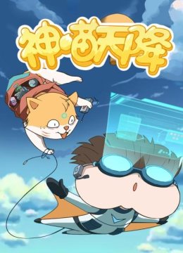 神喵天降