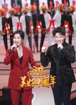 “东西南北中，美好大陆年”2019春节联欢晚会