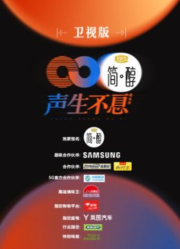 声生不息卫视版