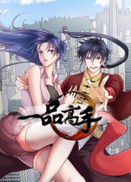 一品高手