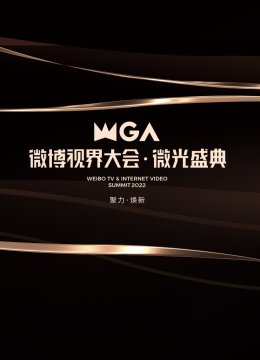 微博视界大会微光盛典