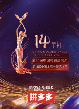 第十四届大陆金鹰电视艺术节