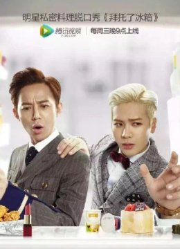 拜托了冰箱大陆版