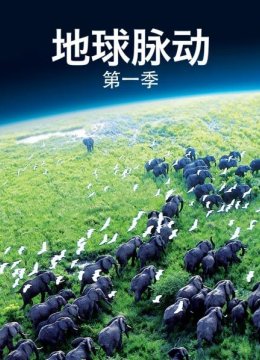 地球脉动第1季