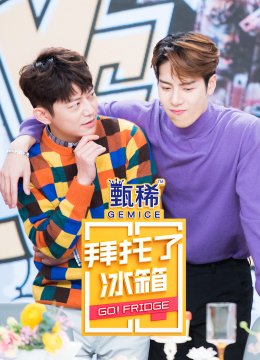 拜托了冰箱大陆版第5季