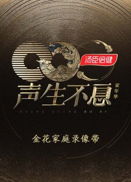 声生不息家年华金花家庭录像带