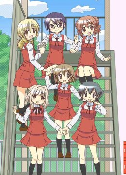 向阳素描×蜂窝