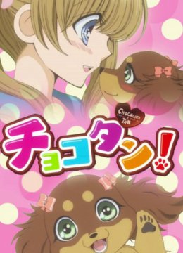 巧克力小狗