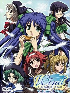 风心之呼吸