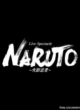 火影忍者舞台湾剧虹桥艺术中心采访篇