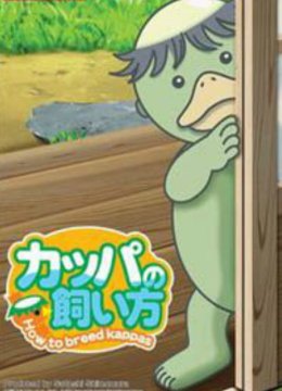 河童的饲养方法