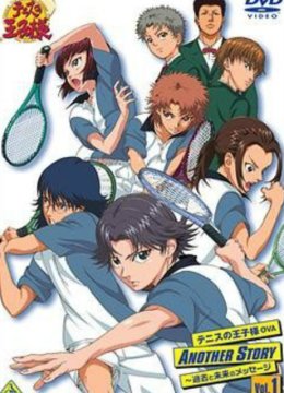 网球王子过去和未来的信息