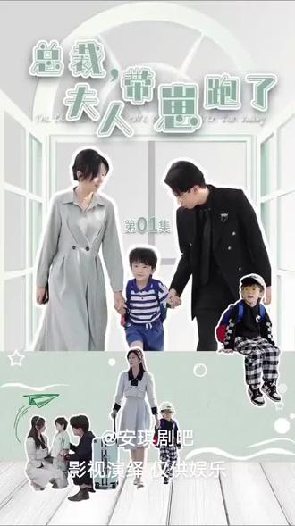 总裁，夫人带崽跑了