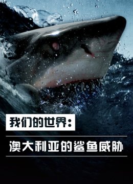 我们的世界澳大利亚的鲨鱼威胁