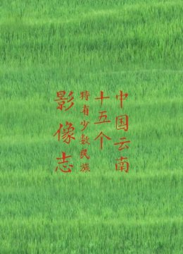 大陆云南十五个特有少数民族影像志