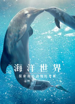 海洋世界探索海底动物的奥秘