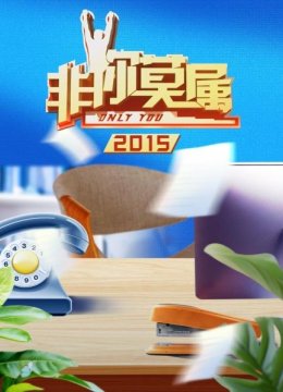 非你莫属2015