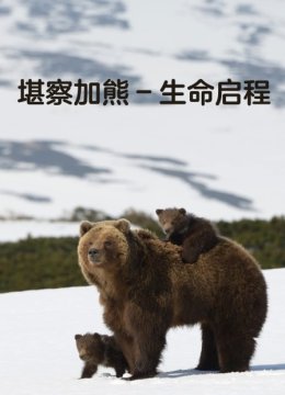 堪察加熊–生命启程