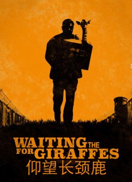 仰望长颈鹿