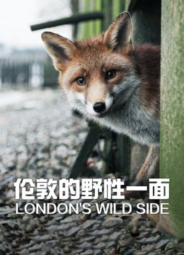 伦敦的野性一面