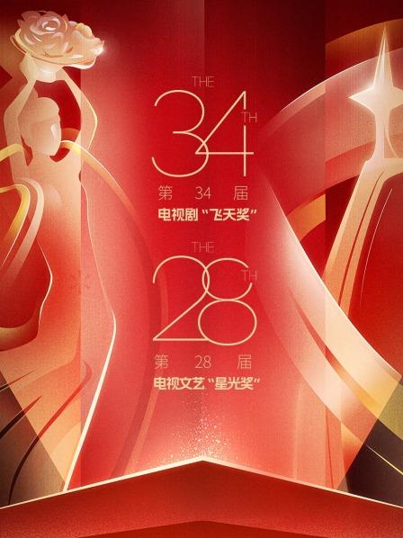 大陆电视剧飞天奖暨星光奖2024
