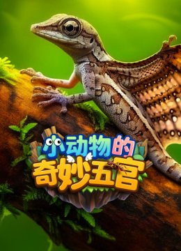 小动物的奇妙五官