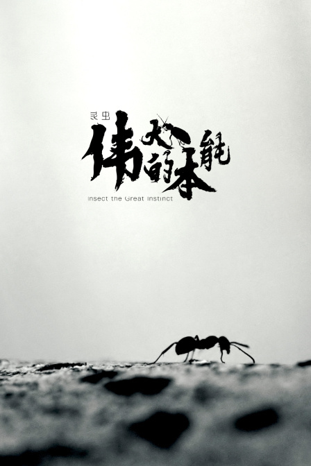 昆虫，伟大的本能