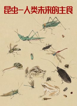 昆虫人类未来的主食
