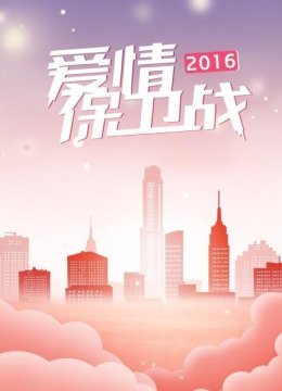 爱情保卫战2016