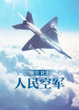 领空卫士人民空军