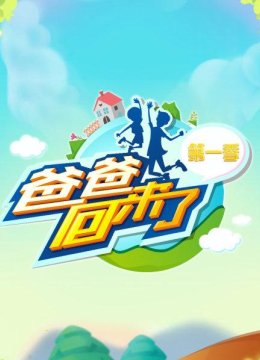 爸爸回来了第1季