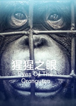 猩猩之眼