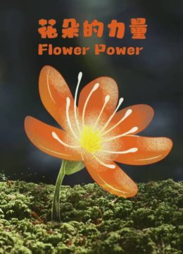 花朵的力量