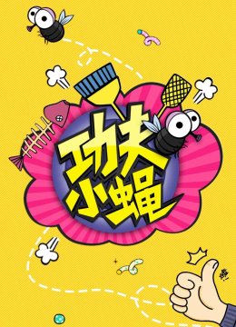 功夫小蝇