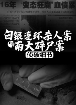 白银连环杀人案与南大碎尸案侦破细节