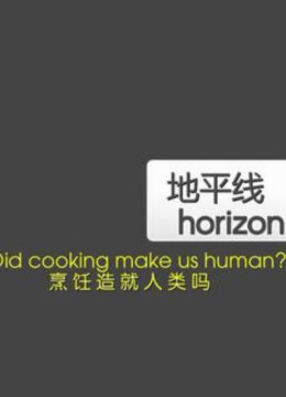 地平线系列烹饪造就人类吗